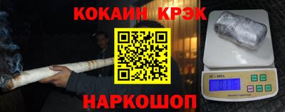 крисы Шебекино