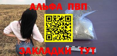 крисы Шебекино
