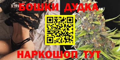 крисы Шебекино