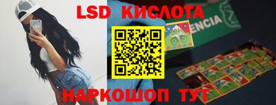 крисы Шебекино