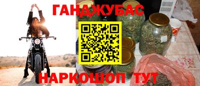 крисы Шебекино
