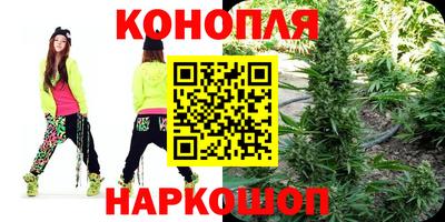 крисы Шебекино