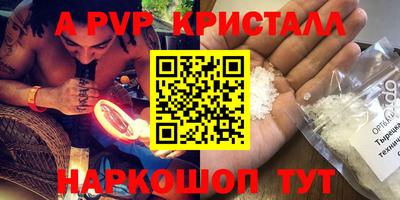 крисы Шебекино