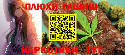 крисы Шебекино