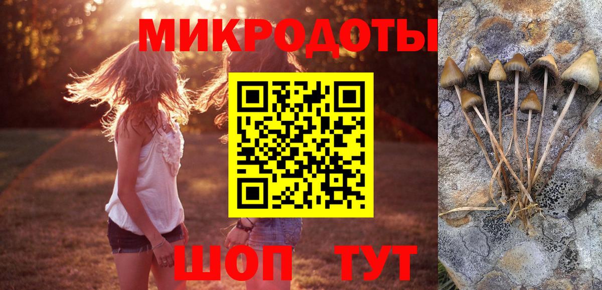 Псилоцибиновые грибы прущие грибы Киров